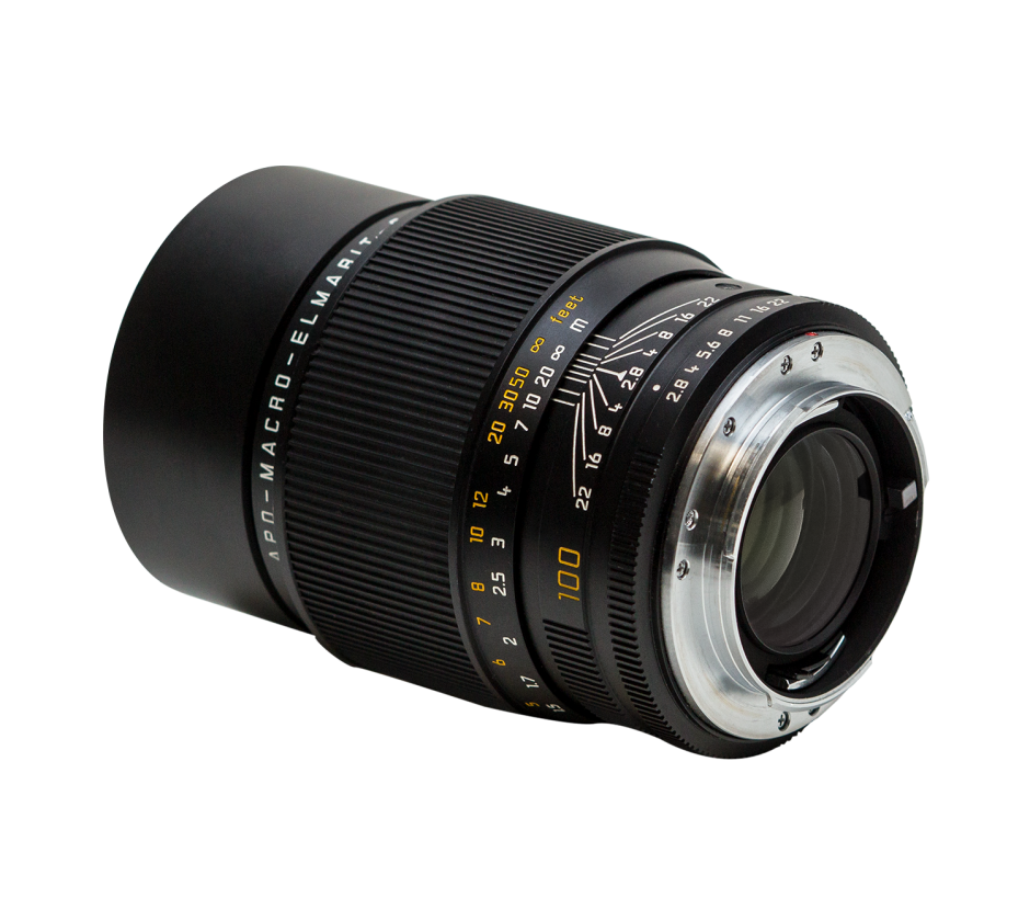 Leica 100mm RSeries Macro f/2.8 Lens Shoot Blue