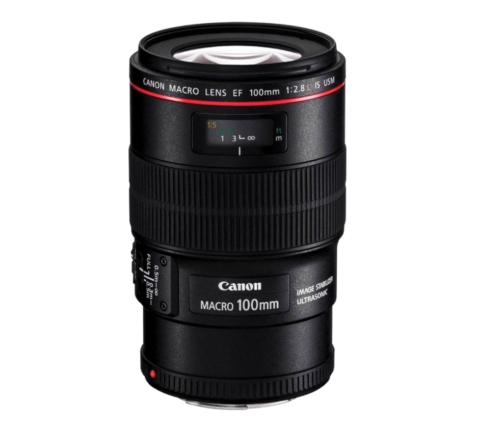 Canon EF 100mm f/2.8 Macro Lens Shoot Blue
