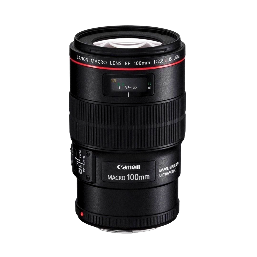 canon macro lens 2.8